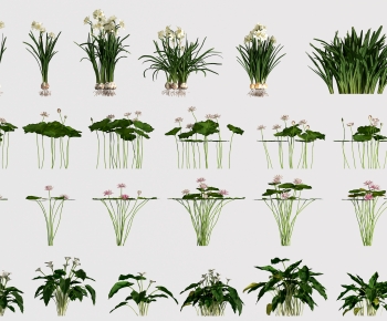 Modern Flowers And Grass-ID:444367898