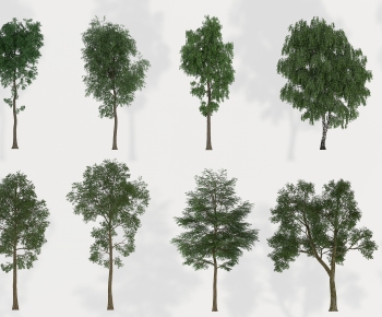 Modern Tree-ID:809000026