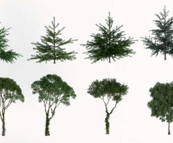 Modern Tree-ID:793368106