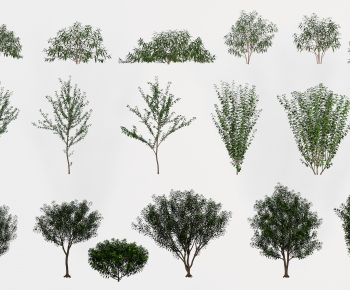 Modern Tree-ID:717504988