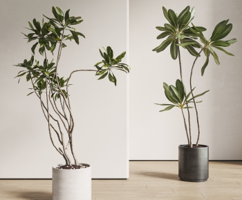 现代落地绿植盆栽组合-ID:113639836