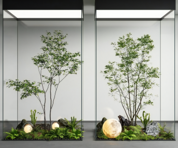 Modern Plant Landscaping-ID:968332055