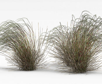 Modern The Grass-ID:500577935