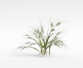 Modern The Grass-ID:120287905