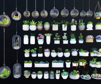 现代多肉植物盆栽吊兰组合-ID:185906892