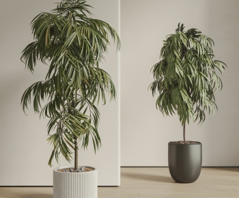 Modern Ground Green Plant Potted Plants-ID:270061028