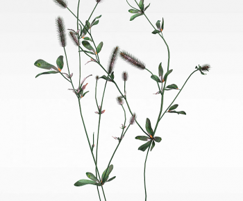 Modern The Grass-ID:568756108