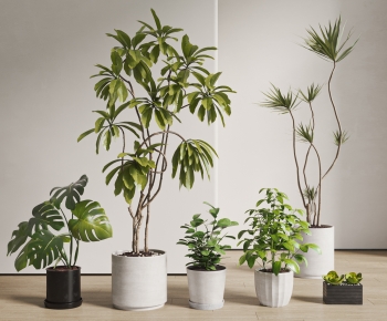 现代落地绿植盆栽组合-ID:774900912