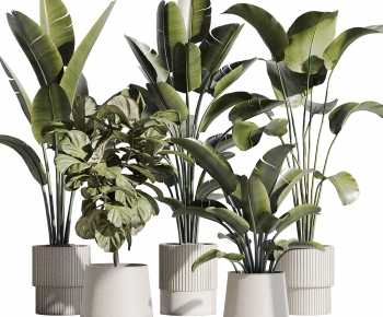 Modern Ground Green Plant Potted Plants-ID:386313921