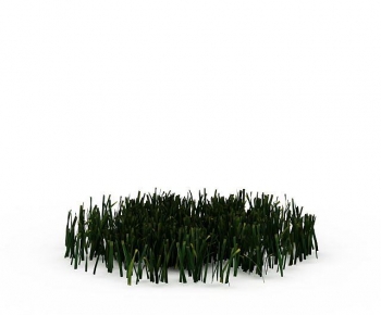 Modern The Grass-ID:404988052