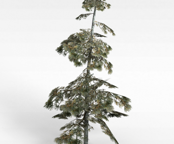 Modern Tree-ID:487744091