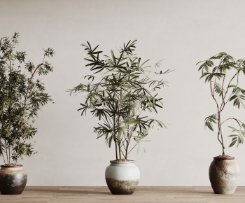 Wabi-sabi Style Ground Green Plant Potted Plants-ID:901324999