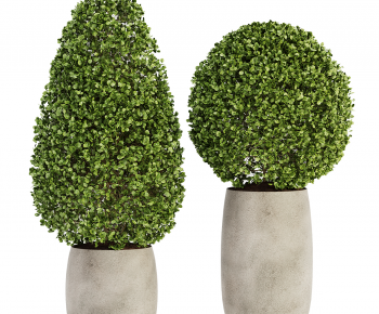 Modern Ground Green Plant Potted Plants-ID:906619073