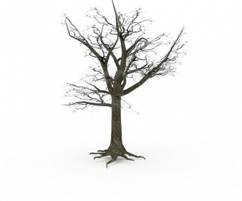 Modern Tree-ID:564589988