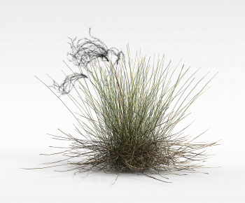 Modern The Grass-ID:121789086