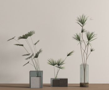 Modern Aquatic Green Plant-ID:247153042