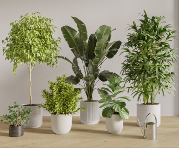 现代落地绿植盆栽组合-ID:397039899