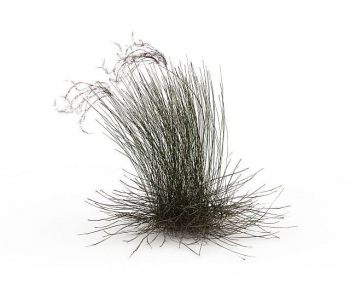 Modern Tree/shrub/grass-ID:594645021