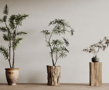 Wabi-sabi Style Ground Green Plant Potted Plants-ID:930768979