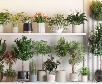 现代落地绿植盆栽组合-ID:177201994