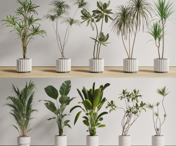现代落地绿植盆栽组合-ID:320470349