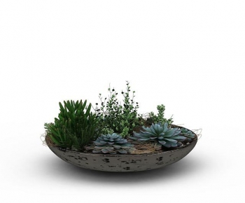 Modern Flower Bed, Flower Bowl, Flower Box-ID:222068079