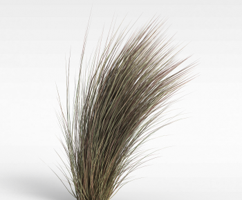 Modern The Grass-ID:613106016