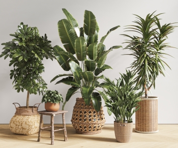 现代落地绿植盆栽组合-ID:352859546