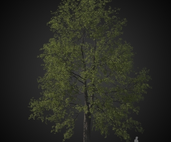Modern Tree-ID:127434029