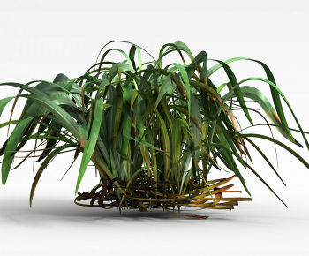 Modern The Grass-ID:253269915