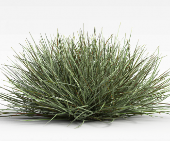 Modern The Grass-ID:171334035