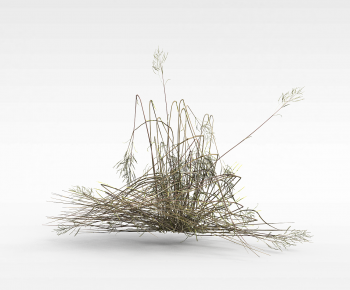 Modern The Grass-ID:790669963