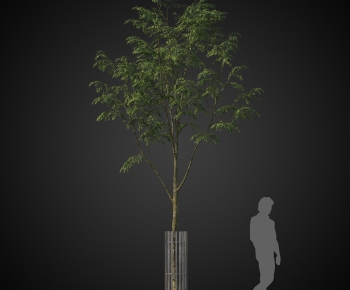 Modern Tree-ID:365762953