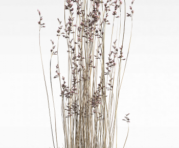 Modern Flowers And Grass-ID:677761086