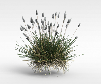 Modern The Grass-ID:167849123