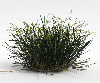 Modern The Grass-ID:796679027