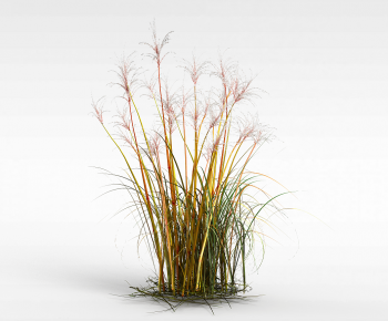 Modern The Grass-ID:929677019