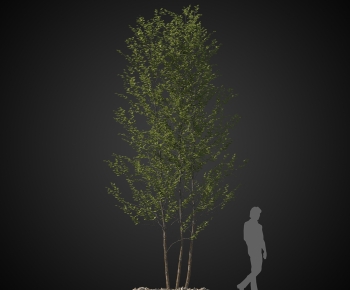 Modern Tree-ID:780006893