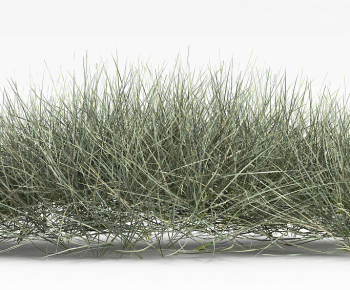 Modern The Grass-ID:376338967