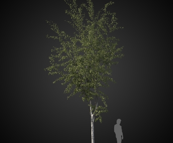 Modern Tree-ID:605995892