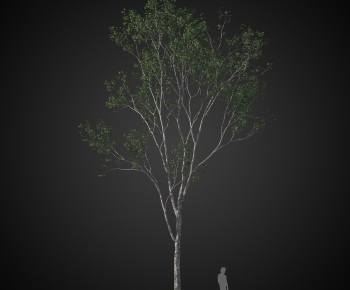 Modern Tree-ID:946738002