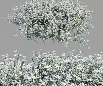 Modern Shrubbery-ID:840848928