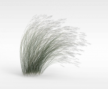 Modern The Grass-ID:984437948
