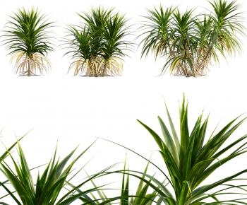 Modern The Grass-ID:701406965