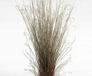 Modern The Grass-ID:965456014