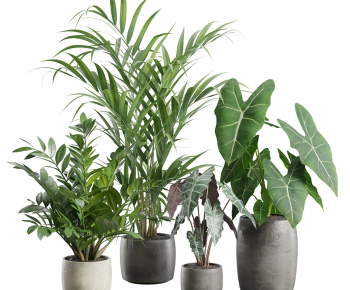 Modern Ground Green Plant Potted Plants-ID:297720432