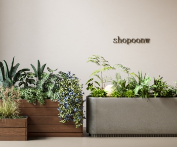 Modern Flower Bed, Flower Bowl, Flower Box-ID:561242107
