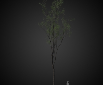 Modern Tree-ID:527003057