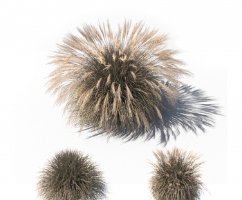 Modern The Grass-ID:418544053