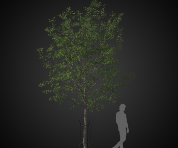 Modern Tree-ID:998527054